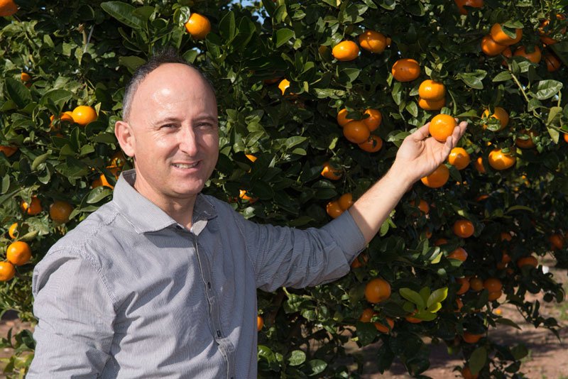 Naranjas-de-Valencia